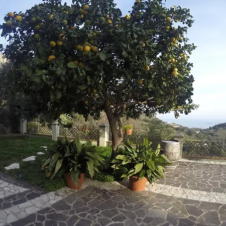 Con Vista Panoramica *