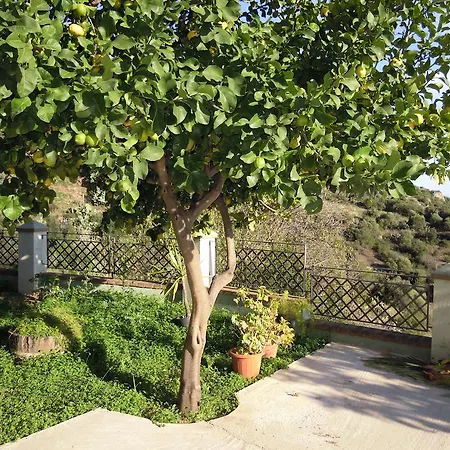 Con Vista Panoramica *