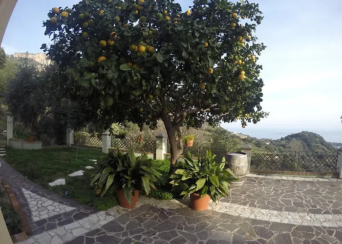 Con Vista Panoramica *